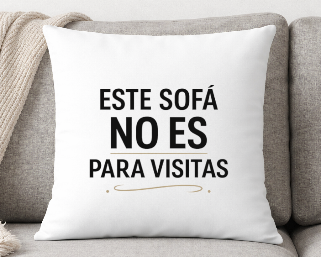 cojin este sofa no es para visitas decoracion divertida hogar salon